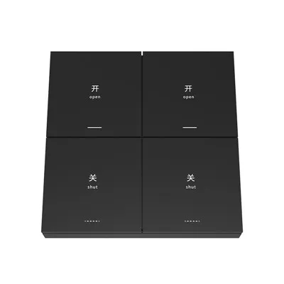 2.4G Wireless 2 Channel Panel Switch